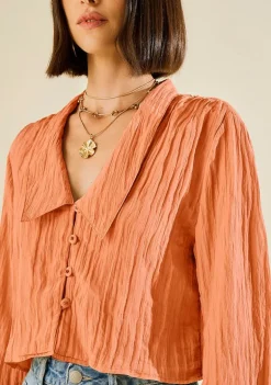 Blusa Morena Rosa Ajustada Decote V Manga Longa Padrão Marrom