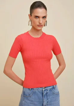 Blusa Morena Rosa Decote Redondo Manga Curta Tricôt Laranja
