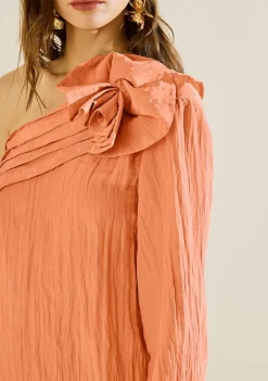 Blusa Morena Rosa Solta Um Ombro Só Manga Longa Padrão Marrom
